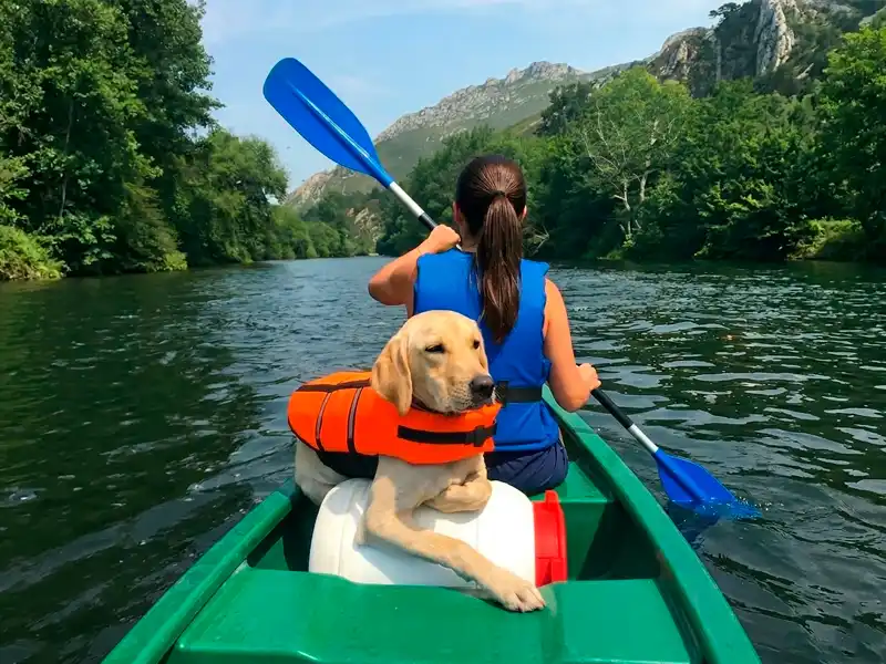 Un perro va tumbado en la parte trasera de una canoa mientras la dueña rema